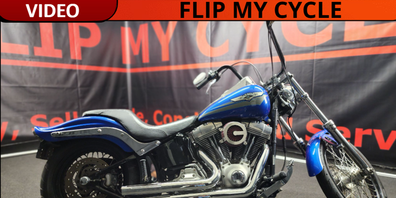 You are currently viewing The 2007 Harley Davidson Softail Standard