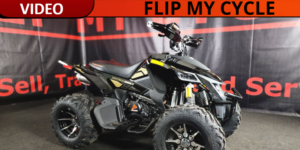 Read more about the article Experience the Power of the 2025 Denago Daytona 250 ATV