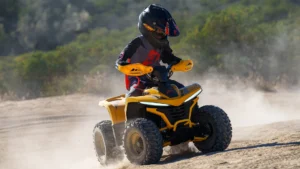 Read more about the article 2026 Denago Mudhawk 6 for Sale – Flip My Cycle Fayetteville NC